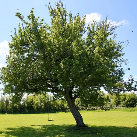 La Mirabelle 2min D'arromanches-les-bains Bed & Breakfast 4*