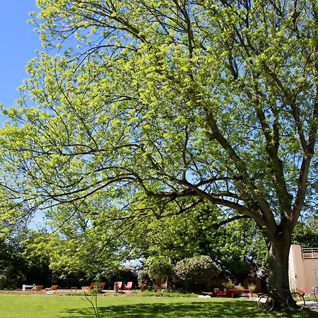 La Mirabelle 2min D'arromanches-les-bains