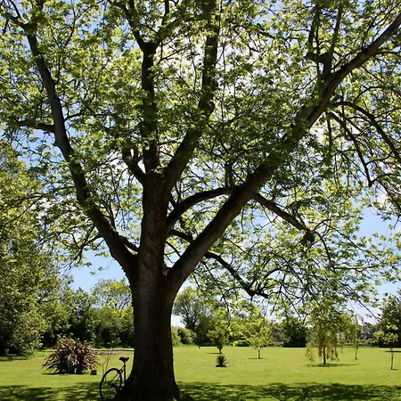 La Mirabelle 2min D'arromanches-les-bains 4*
