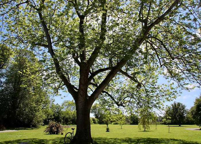 La Mirabelle 2min D'arromanches-les-bains 4*